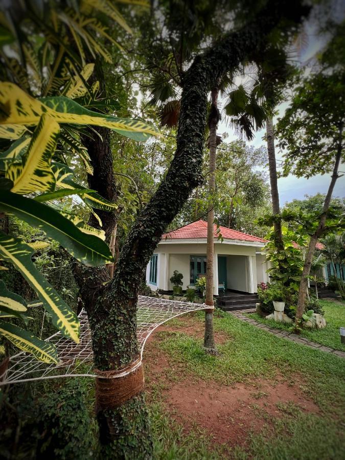 Paddle Cult Hotel Varkala Luaran gambar